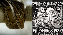 This Florida Restaurant Is Accepting Burmese Pythons For Pizza. Here's Why