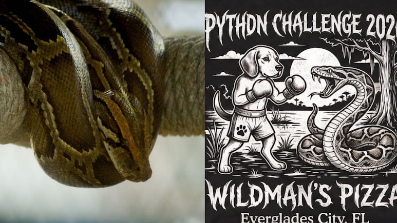 This Florida Restaurant Is Accepting Burmese Pythons For Pizza. Here's Why