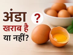 अंडा ताजा है या खराब? इन 4 आसान तरीकों से मिनटों में करें पहचान | Kharab Ande Ki Kya Pahchan Hai