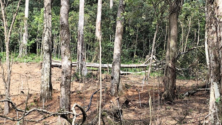 Trees Cut, Ponds Destroyed In Key Kerala Reserve, High Court Takes Note