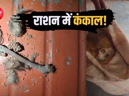 MP गजब है! सरकारी राशन में कंकड़ की शिकायतें तो सुनी होंगी, यहां गेहूं की बोरी से निकला कंकाल