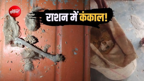 MP गजब है! सरकारी राशन में कंकड़ की शिकायतें तो सुनी होंगी, यहां गेहूं की बोरी से निकला कंकाल