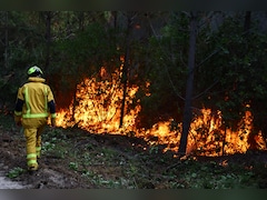 Human-Caused Climate Change Made Europe Wildfires Far More Likely: Scientists
