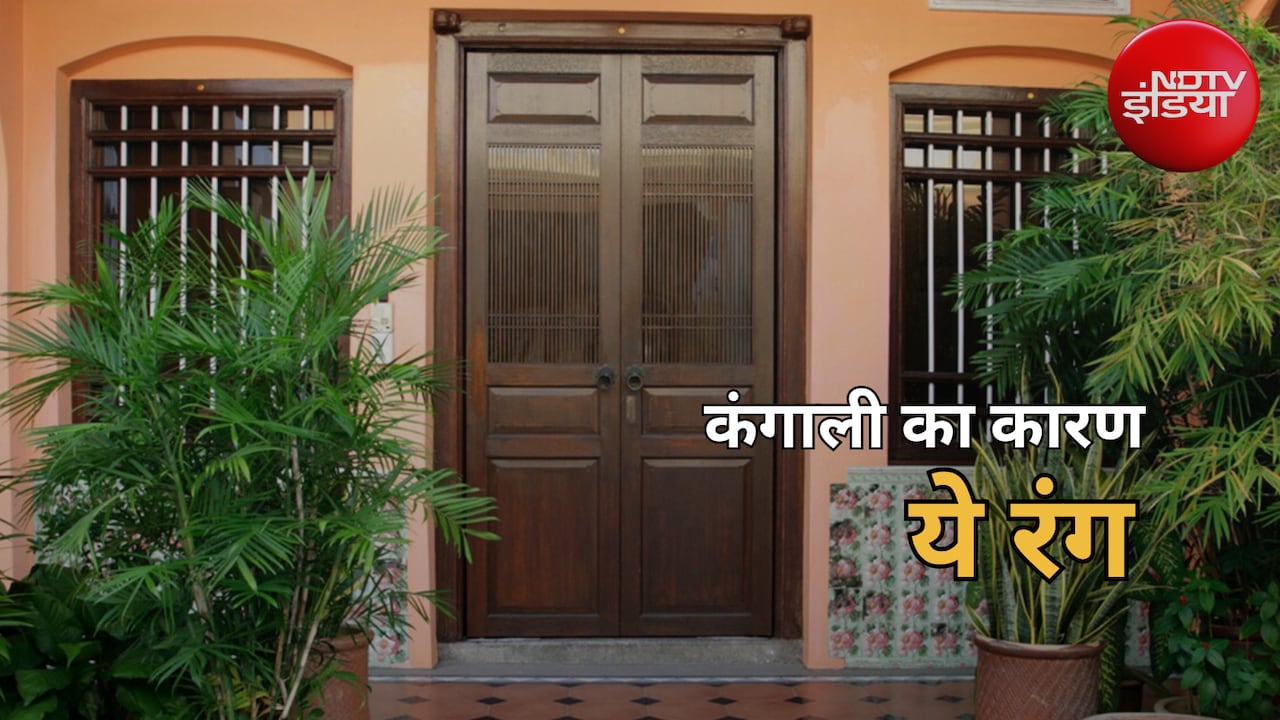 Vastu Tips: कंगाल कर सकता है मुख्य द्वार का गलत रंग, जल्द कर लें ये बदलाव, तभी बरसेगी मां लक्ष्मी की कृपा