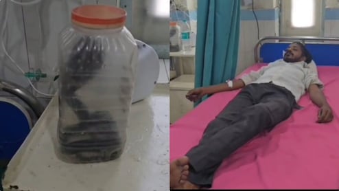 सांप को अस्पताल लेकर पहुंचा लड़का, खतरनाक कोबरा देख डॉक्टर भी हैरान