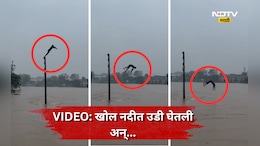 Bhiwandi News: अरे, हा कसला स्टंट! वीजेच्या खांबावर चढला, उधाणलेल्या नदीत झेपावला, पुढे जे घडलं त्याने...