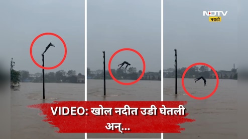 Bhiwandi News: अरे, हा कसला स्टंट! वीजेच्या खांबावर चढला, उधाणलेल्या नदीत झेपावला, पुढे जे घडलं त्याने...