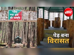महापुरुष नहीं, यहां एक पेड़ की बनी है समाधि... उत्तराखंड की इस अनोखी जगह को देखने उमड़ते हैं पर्यटक, जानें खासियत