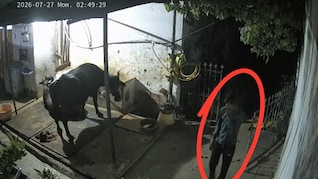 60 लाख की सनसनीखेज चोरी! सोना-चांदी और नकदी लेकर फरार हुआ चोर, CCTV में कैद हुई वारदात