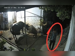 60 लाख की सनसनीखेज चोरी! सोना-चांदी और नकदी लेकर फरार हुआ चोर, CCTV में कैद हुई वारदात