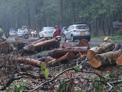 Tree Felling For Rishikesh-Bhaniyawala Project Halted Amid Public Outrage