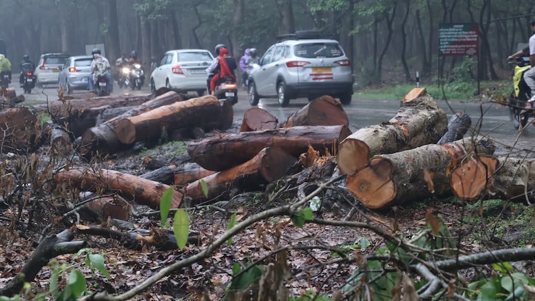 Tree Felling For Rishikesh-Bhaniyawala Project Halted Amid Public Outrage