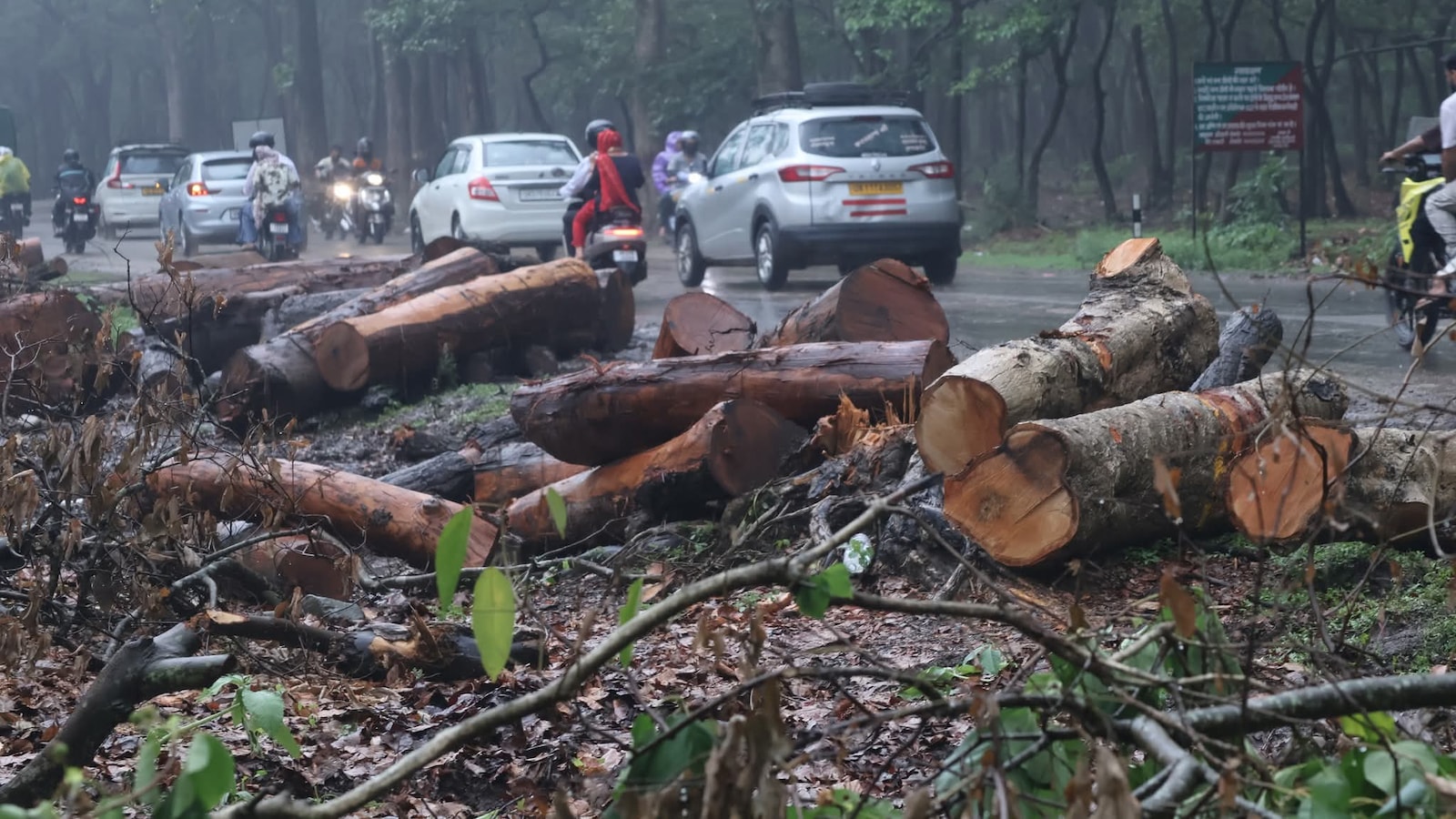 Uttarakhand Halts Tree Felling for Rishikesh-Bhaniyawala Highway Project Pending Consensus