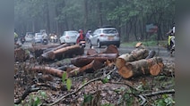 3,000 Trees Face Axe For Uttarakhand Road Project, Activists Up In Arms