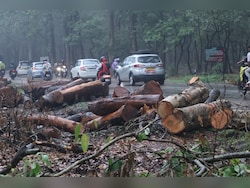 3,000 Trees Face Axe For Uttarakhand Road Project, Activists Up In Arms