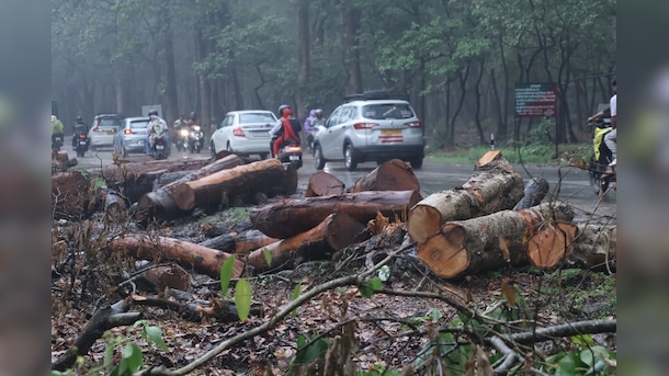 3,000 Trees Face Axe For Uttarakhand Road Project, Activists Up In Arms