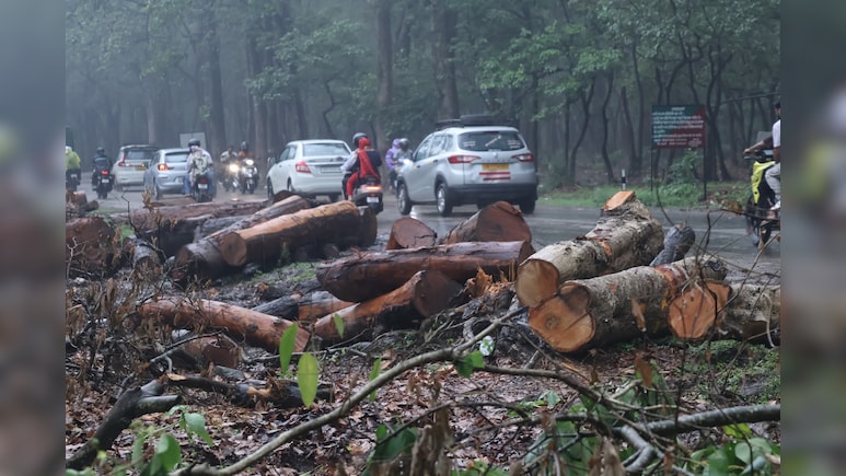 3,000 Trees Face Axe For Uttarakhand Road Project, Activists Up In Arms