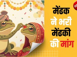 हल्दी लगी, सात फेरे लिए, मांग में सिंदूर भरा... सैकड़ों ग्रामीणों ने नाचते-गाते कराई मेंढक-मेंढकी की शादी