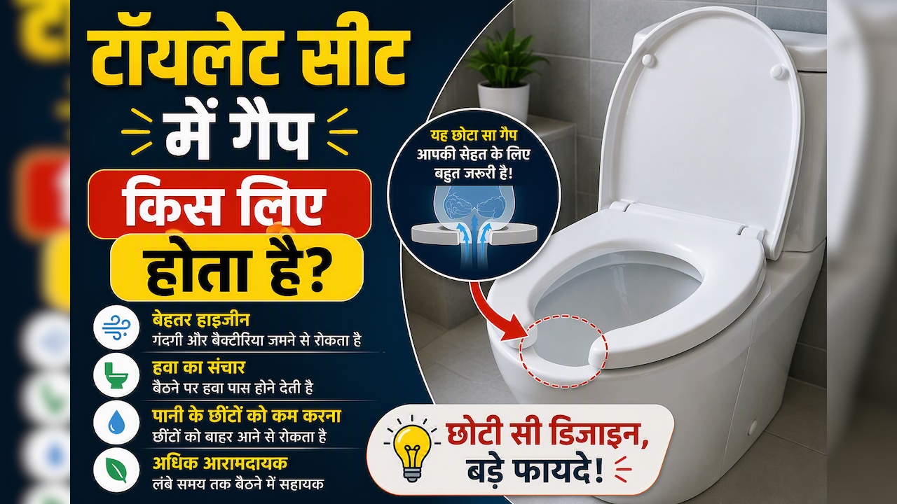 पब्लिक टॉयलेट्स की सीट में आगे की तरफ गैप क्यों होता है? जानिए इसके पीछे की दिलचस्प वजह