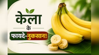 30 दिन रोजाना केला खाने से क्या होगा, 1 दिन में कितने केले खाएं, जानें सेवन का सही समय और बहुत कुछ | 10 FAQS
