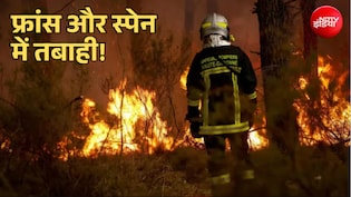 यूरोप मे 3 लाख लोग घर छोड़ने को मजबूर; फ्रांस और स्पेन के जंगल में क्यों भड़क रही है आग? क्लाइमेट चेंज का असर!