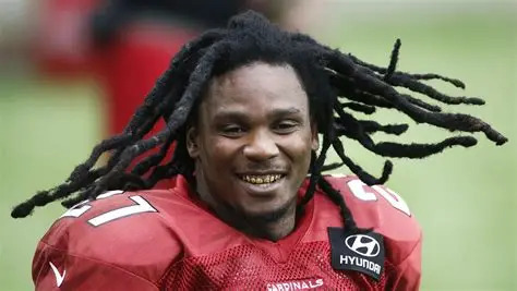Former NFL Star Chris Johnson Revives Ice Bucket Challenge To Raise ALS Awareness