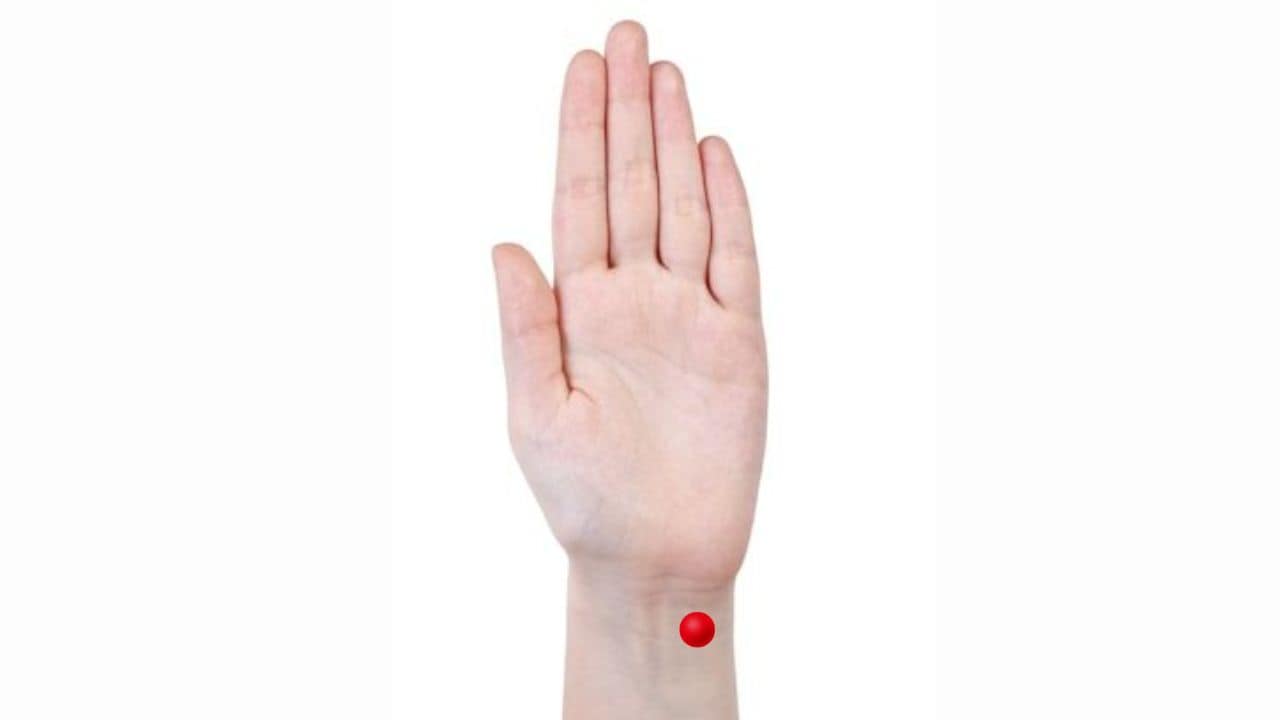 Latest and Breaking News on NDTV Latest and Breaking News on NDTV