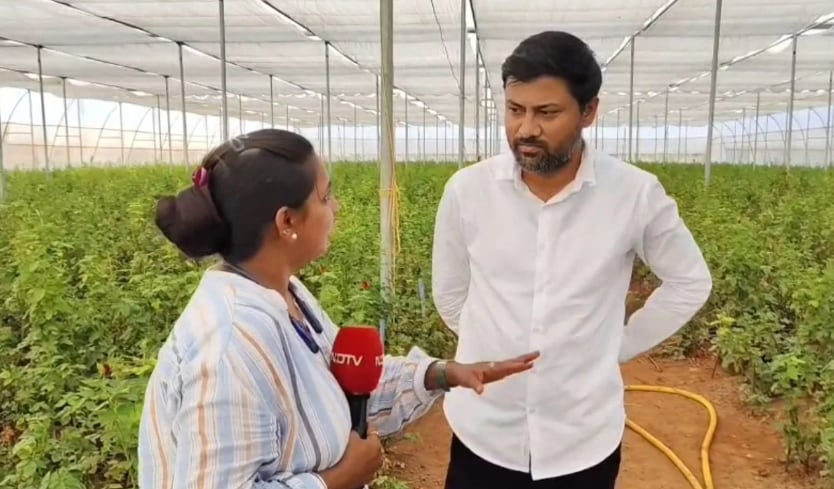 Rose Farming MBA Farmer Success Story: मोहित पवार Rose Farming MBA Farmer Success Story: मोहित पवार