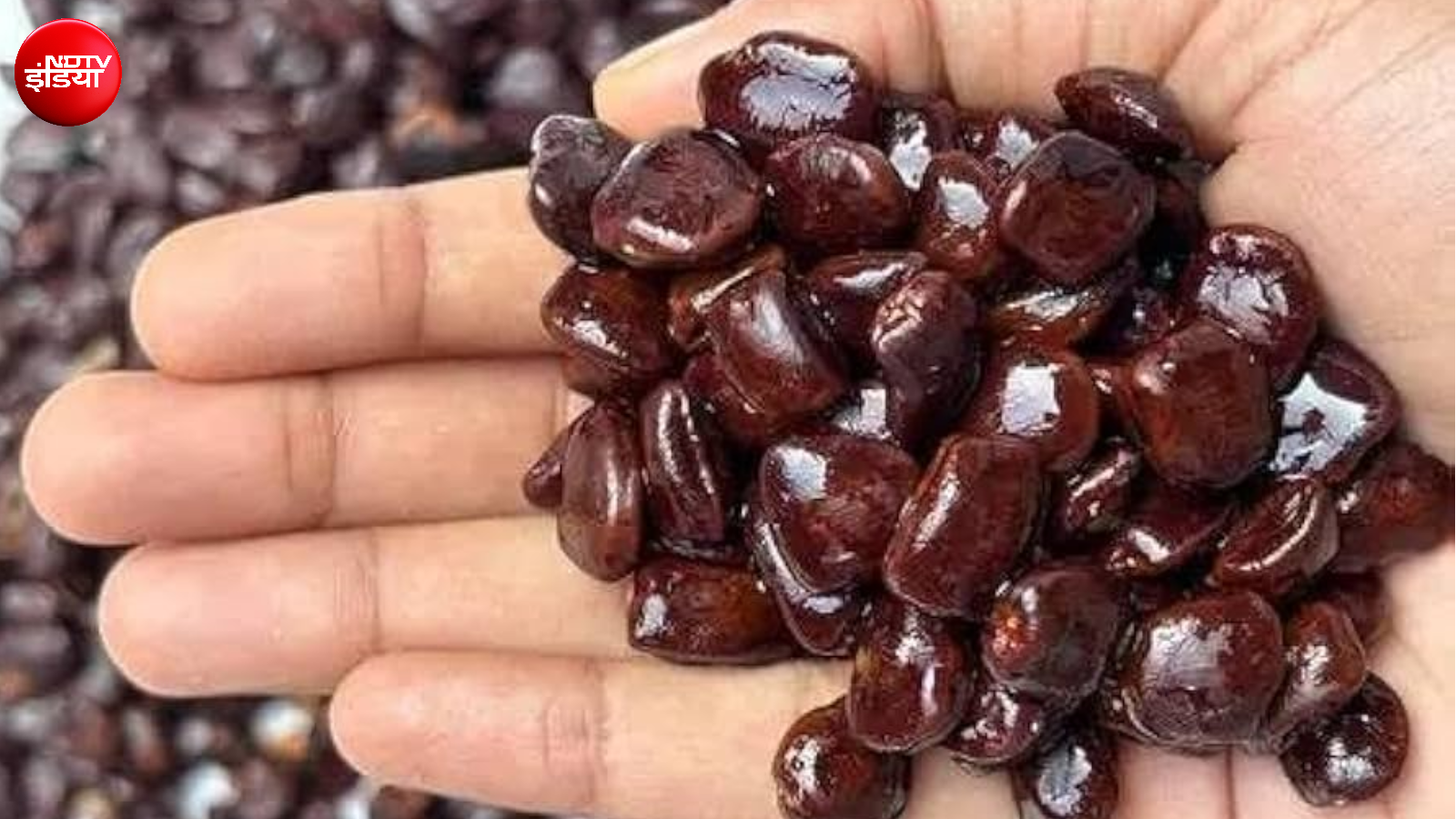 How 3 Indian School Teens avyana mehta, ariana agarwal, vivaan chhawchharia Used Tamarind Seeds to Filter Microplastics From Water 