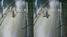 On Camera, Leopard Charges, Leaps Onto Delivery Agent's Bike In Indore