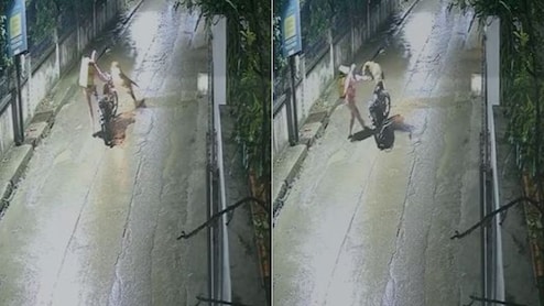On Camera, Leopard Charges, Leaps Onto Delivery Agent's Bike In Indore