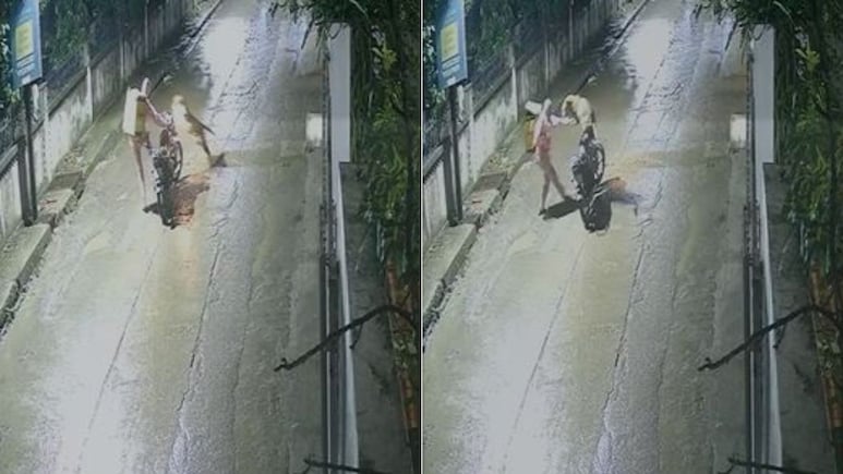 On Camera, Leopard Charges, Leaps Onto Delivery Agent's Bike In Indore