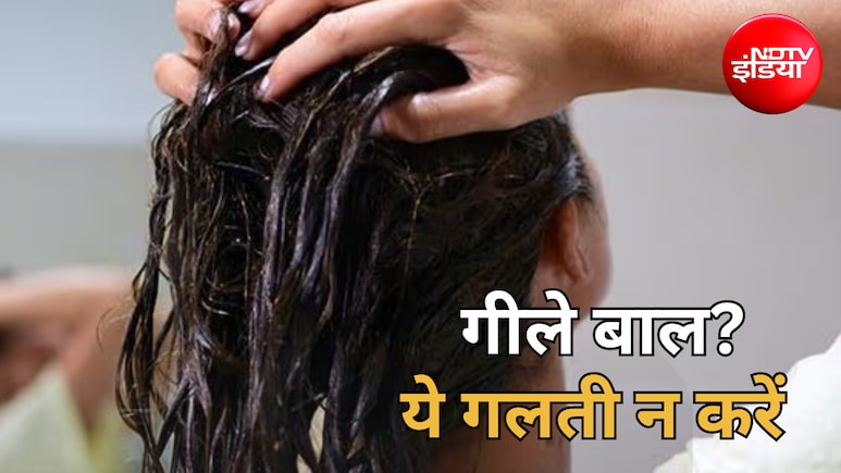 Hair Care Tips: मानसून में स्कैल्प को रखना है हेल्दी? अपनाएं ये 5 आसान उपाय, डैंड्रफ और हेयर फॉल से भी मिलेगा बचाव