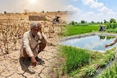 खेती का नया &lsquo;वॉटर मॉडल'! सिर्फ एक तालाब से किसानों की आमदनी 20% तक बढ़ी- रिसर्च