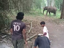 Kerala Villagers Mourn Death Of Lakshmi, A Wild Elephant They Called Family