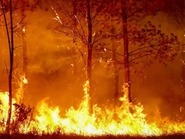 France Battles Wildfire 4 Times The Size Of Paris Amid Record Heatwave