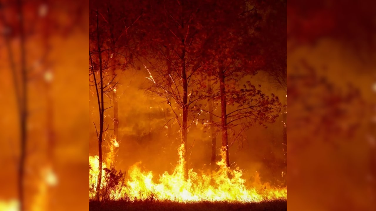 France Braces For Fourth Major Heatwave As Bordeaux Wildfire Rages On