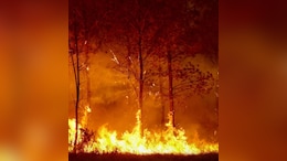 France Braces For Fourth Major Heatwave As Bordeaux Wildfire Rages On