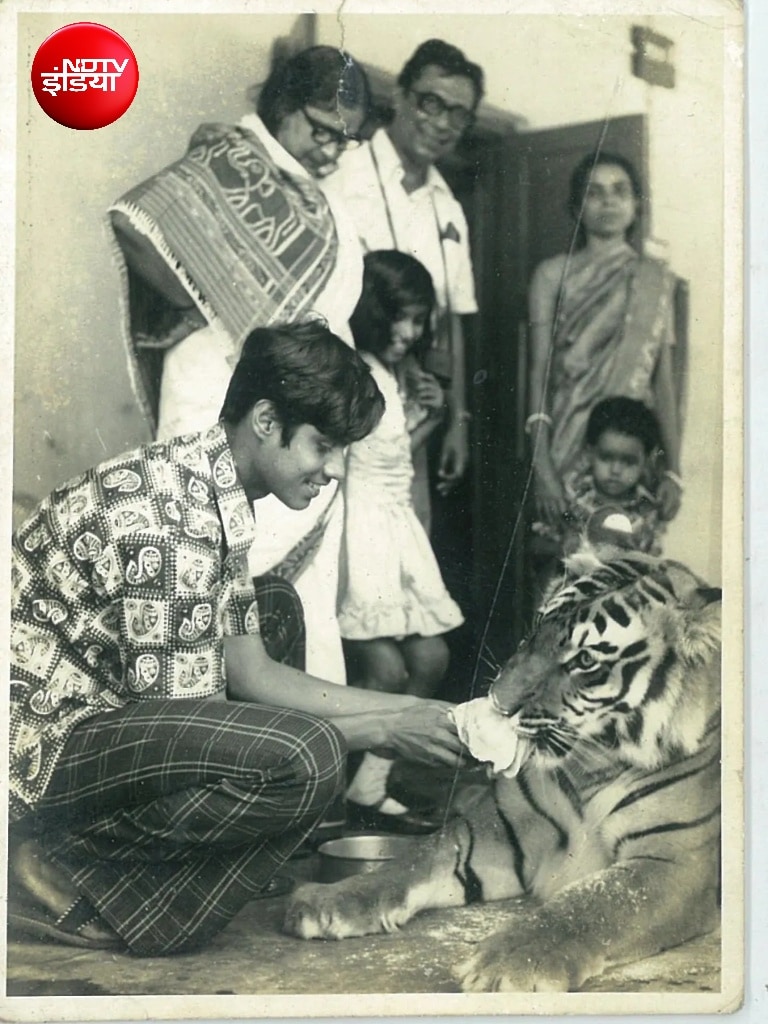 The Heartbreaking Story of Tigress Khairi and IFS Saroj Raj Choudhury in odisha simlipal jungle