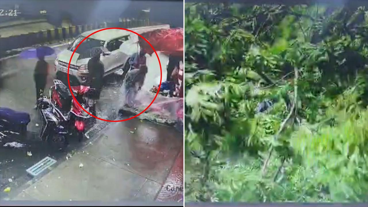 CCTV Captures Tree Collapse In Mumbai's Goregaon, 2 Women Injured