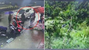 CCTV Captures Tree Collapse In Mumbai's Goregaon, 2 Women Injured