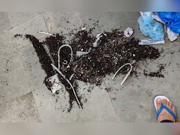 जिला चिकित्सालय में चींटियों ने रोके ऑपरेशन! OT की उखड़ी टाइल्स, दरारों से अंदर पहुंचीं चींटियां