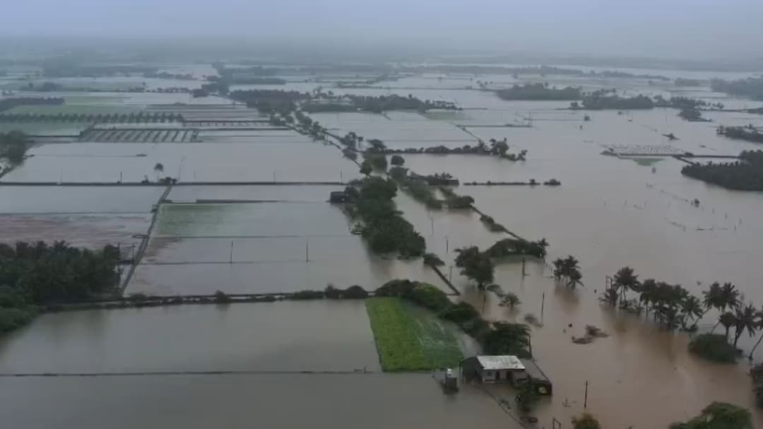 Weather Highlights: Many Parts Of Gujarat Flooded After Rain, Schools Declare Holiday Near Mumbai