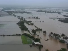 Weather Highlights: Many Parts Of Gujarat Flooded After Rain, Schools Declare Holiday Near Mumbai