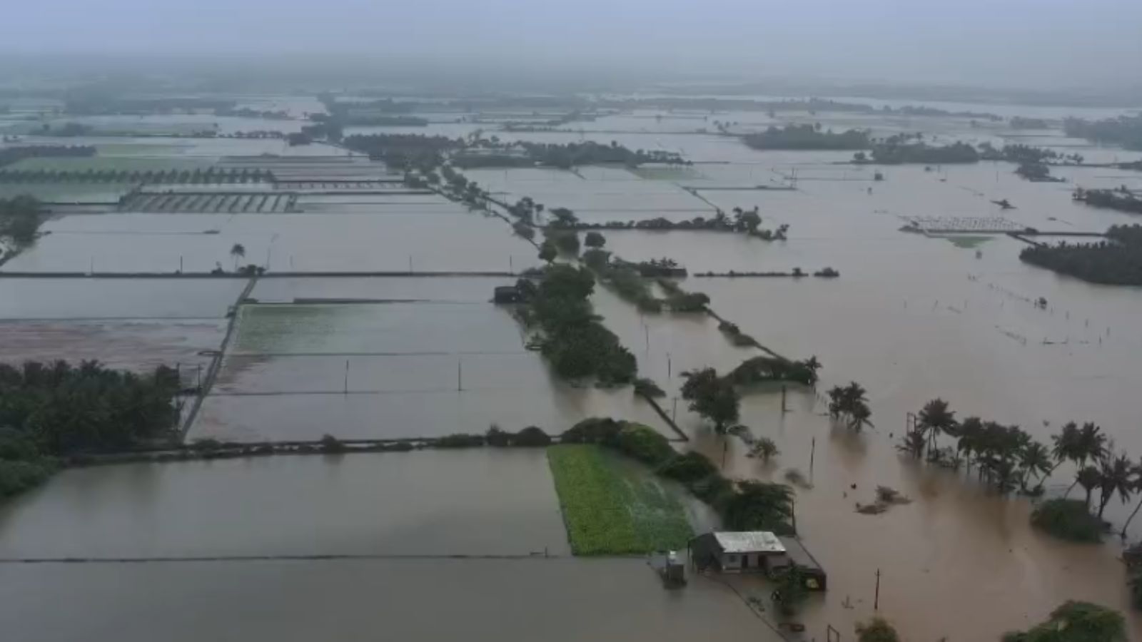 Weather Highlights: Many Parts Of Gujarat Flooded After Rain, Schools Declare Holiday Near Mumbai