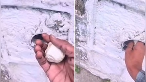 How 'Chitta' Took Over Himachal Pradesh, One Drainpipe Drop At A Time