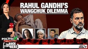 'Rahul Gandhi Shouldn't Join Sonam Wangchuk's Protest': Tavleen Singh