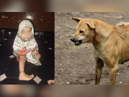 कर्नाटक के रायचूर में अवारा कुत्तों आतंक, डेढ़ साल की मासूम को नोंच-नोंचकर मार डाला