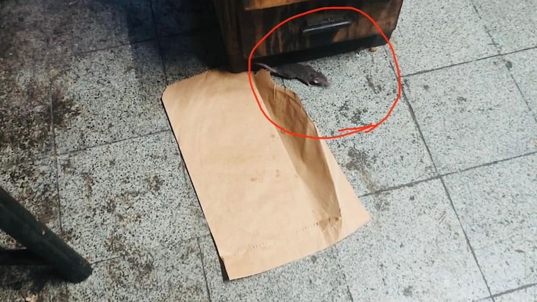 Rats, Houseflies At Heera Sweets, K Rustom Ice Cream: Maharashtra Food Authority Takes Action