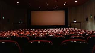 Woman Laughs At Movie Scene In Theatre, Annoyed Man Hits Her With Pizza Pan
